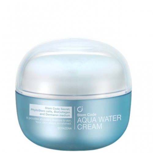 잇썸몰,데이크림 스템코드 아쿠아 워터 크림 60ml