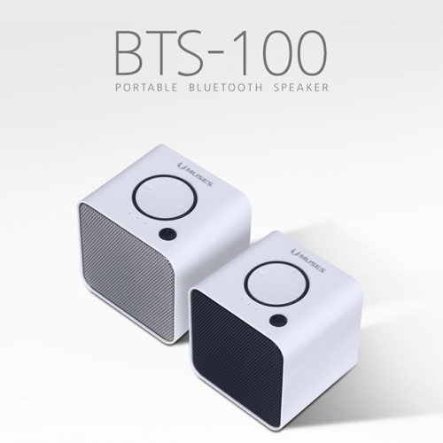 잇썸몰,블루투스 스피커 휴대용 스피커 BTS-100