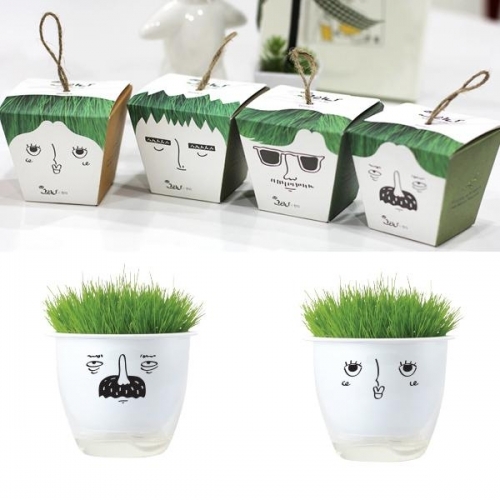 잇썸몰,셀프 식물키우기 쉬운 미니화분 기르기