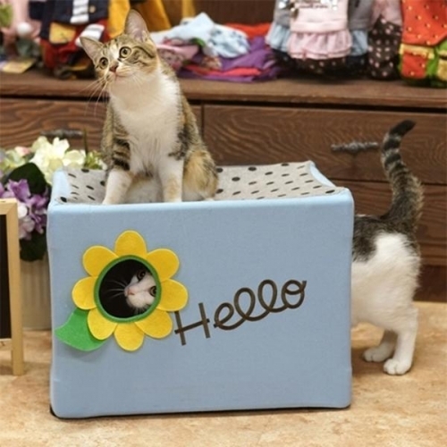 잇썸몰,패리스캣 플라워 캣 프레임 하우스 애견용품