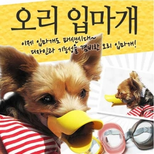 잇썸몰,WK 실리콘 오리 입마개 M