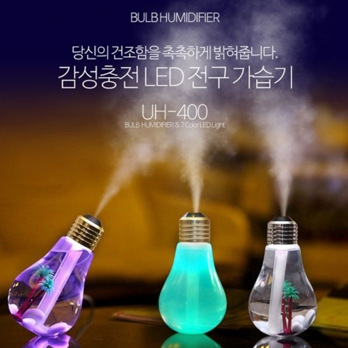 잇썸몰,DDZONE 가습기 (LED전구) (투명 내부장식포함) (UH-400)